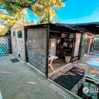 Terreno agricolo toirano