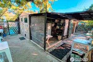 Terreno agricolo toirano