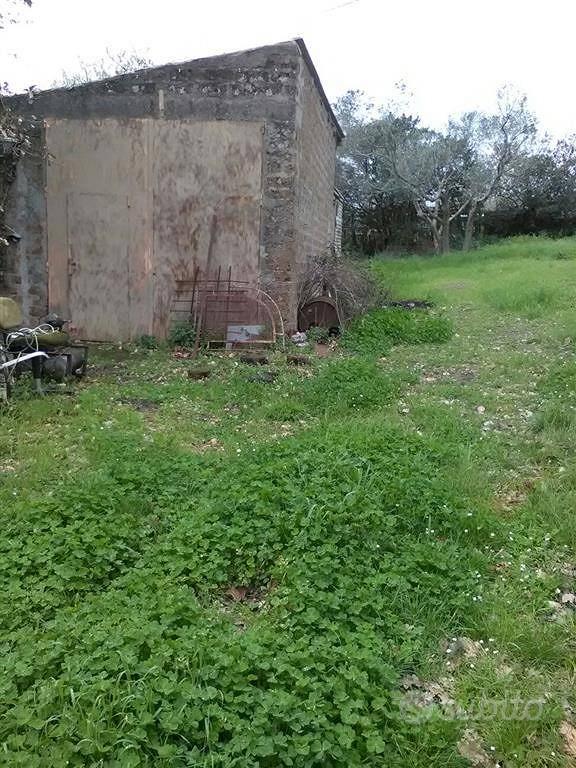 Terreno di 900 m² a Monte Romano - Vista 4
