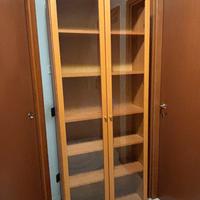 Vetrina a 2 ante vetrate