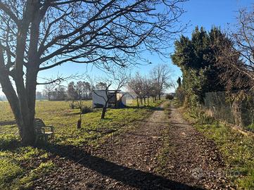 TER. AGRICOLO A RIVARA