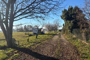 TER. AGRICOLO A RIVARA