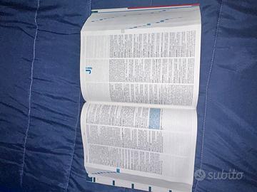 Dizionario  italiano-inglese