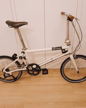 Bicicletta pieghevole Ahooga Analog