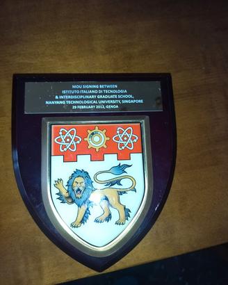 stemma IIT e università singapore