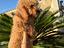 Immagine 4