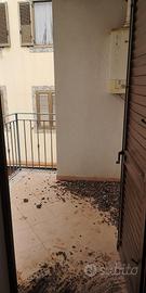 RGE 1/2023 Trib Marsala - LOTTO 5