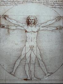 Stampa Leonardo 