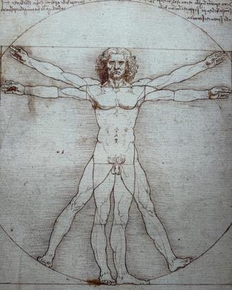 Stampa Leonardo 