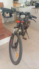 bicicletta elettrica 