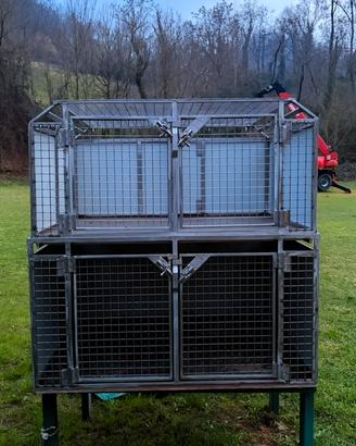 Gabbie cani acciao inox