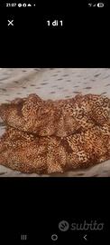 gonna leopardata
