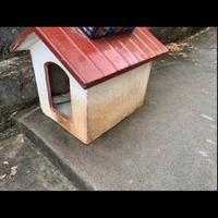 Cuccia per  cane taglia media