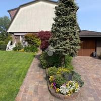 VILLA SINGOLA A ARESE