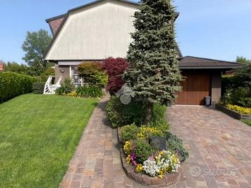 VILLA SINGOLA A ARESE