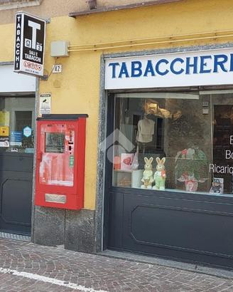 ATTIVITÀ A CASTANO PRIMO