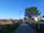 Immagine 14