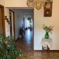 Disponibile appartamento