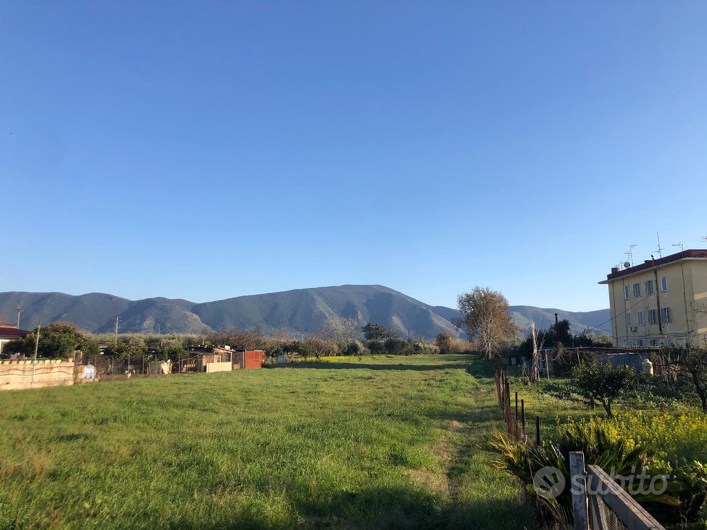 Terreno agricolo Cellole (CE) - Altro