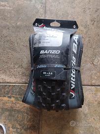 VITTORIA BARZO 2.6