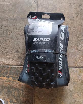 VITTORIA BARZO 2.6