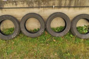 Gomme invernali Hankook 175 65 r15