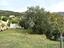 Immagine 12