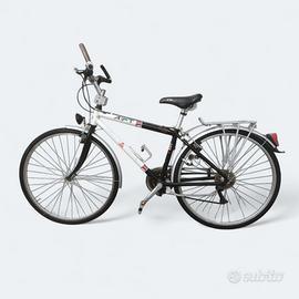 Bicicletta city bike uomo