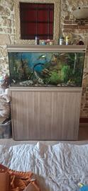 ACQUARIO COMPLETO CON MOBILE