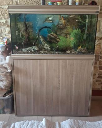 ACQUARIO COMPLETO CON MOBILE