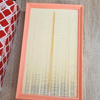 filtro aria 104947 febi blisten