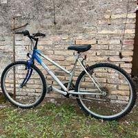 Bicicletta venus maximum