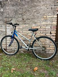 Bicicletta venus maximum