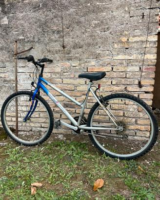 Bicicletta venus maximum