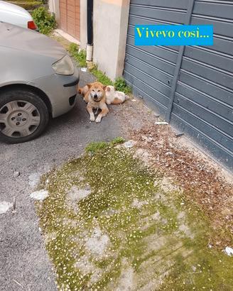 Mei 1 ano e mezzo