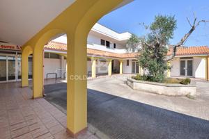 Locale commerciale - Carpignano Salentino