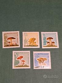 Francobolli URSS 1964 Serie Funghi