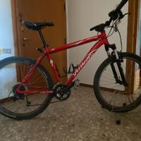 Mountain bike specialized