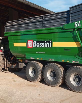 bossini 