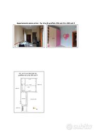 Tnc 142/2024 appartamento