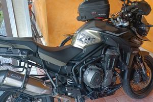 TIGER DESERT EDITION