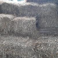 BALLETTE DI PAGLIA DI GRANO