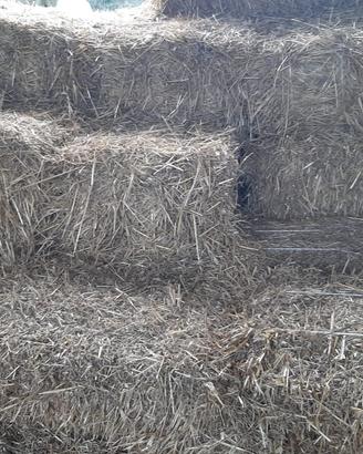 BALLETTE DI PAGLIA DI GRANO