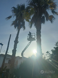 Giardiniere specializzato