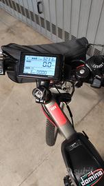 bicicletta elettrica 