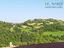 Immagine 24
