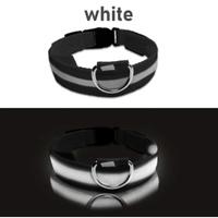 Collare Luminoso a LED Sicurezza notturna 