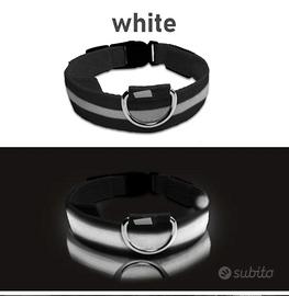 Collare Luminoso a LED Sicurezza notturna 