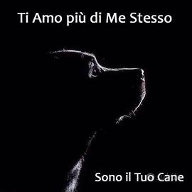 Ospitalità Labrador