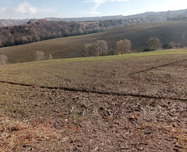 Vendesi terreno agricolo